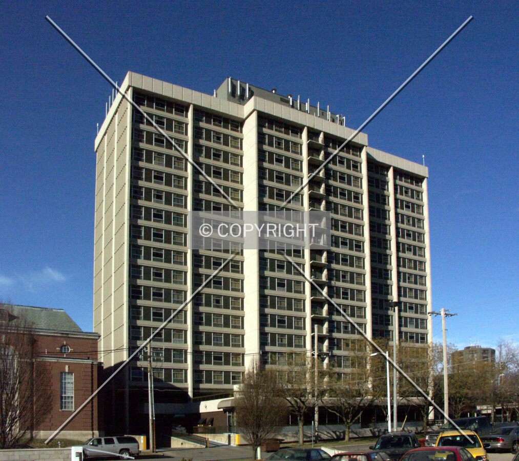 View from the east