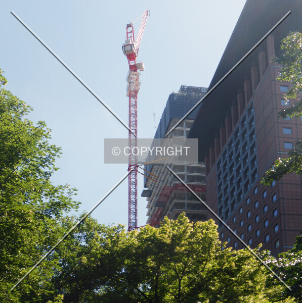 Photo 101-473-282