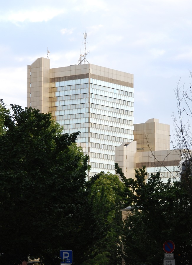 Tower block rising behind the trees