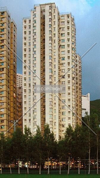 Photo 101-715-405