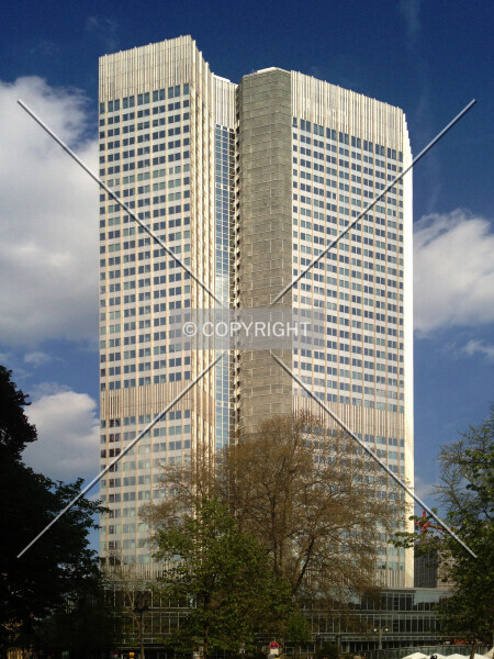 Photo 102-647-667