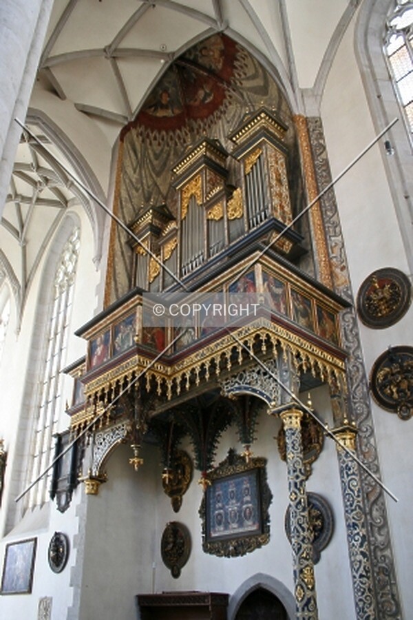 Side organ