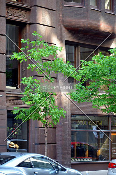 Photo 103-416-092