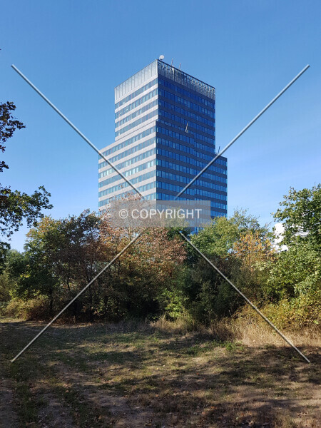 Photo 104-042-765