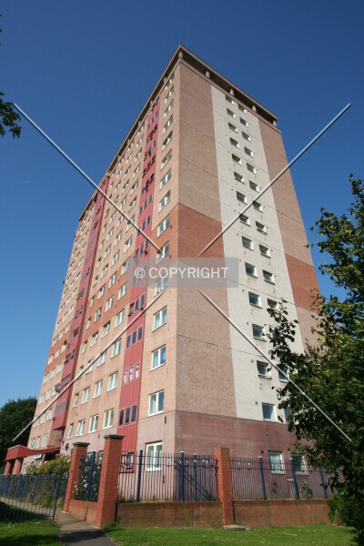 Photo 104-708-654