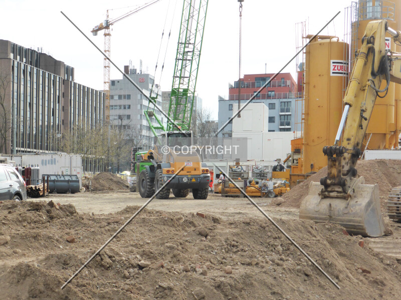 Photo 106-071-855
