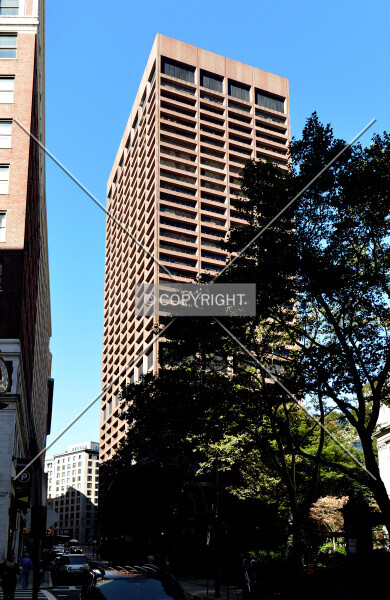 Photo 106-349-268