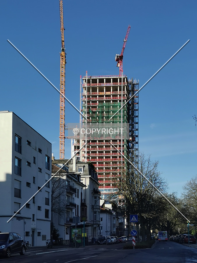 Photo 107-073-561