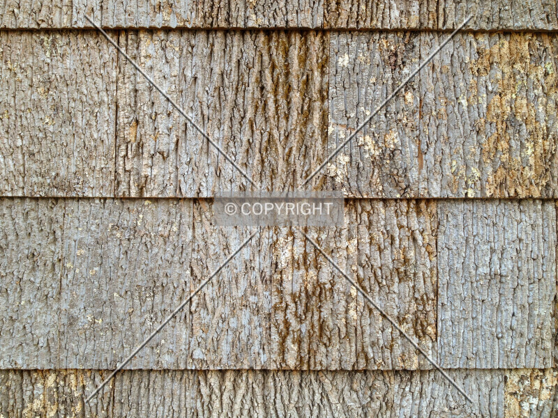 Photo 107-209-638