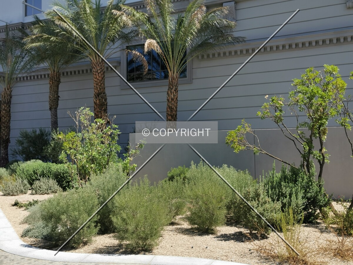 Photo 107-986-697