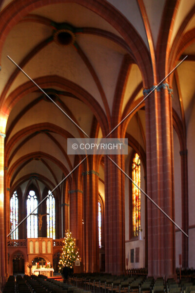 Photo 109-745-223