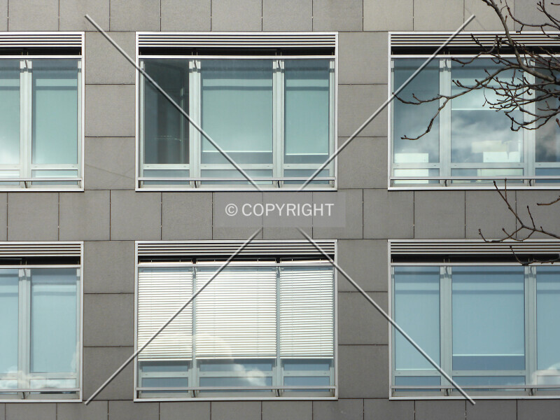 Photo 110-179-288