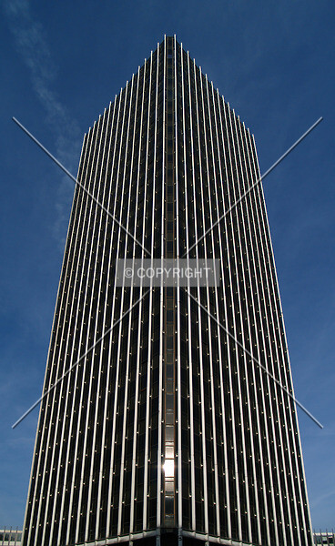 Photo 110-206-809