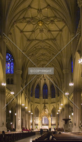 Photo 110-266-043