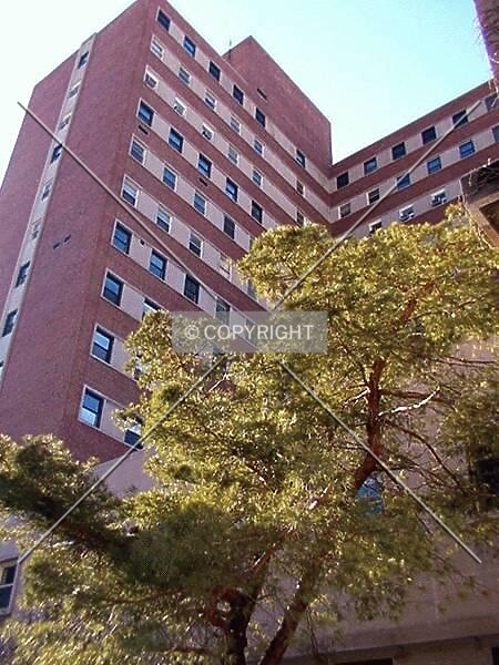 Photo 111-181-238