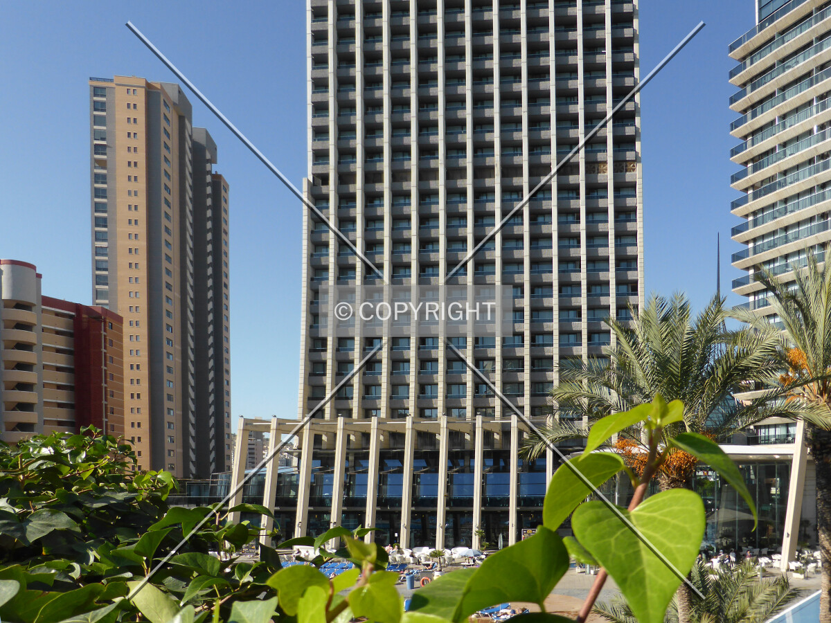 Photo 112-702-401