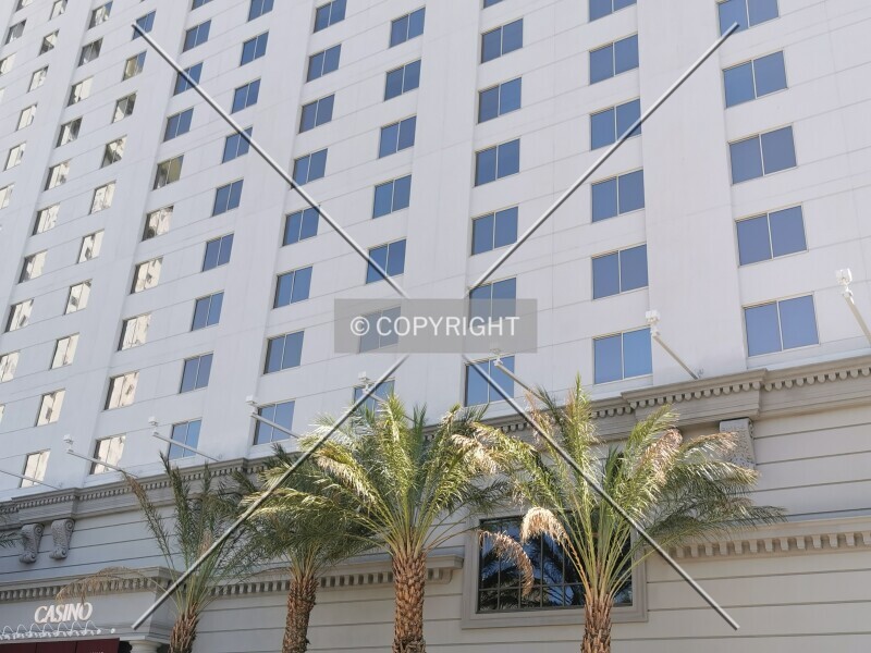 Photo 112-733-875