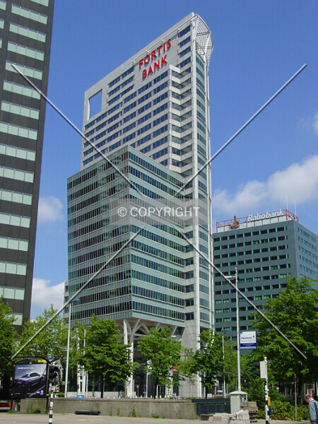 Photo 113-248-450