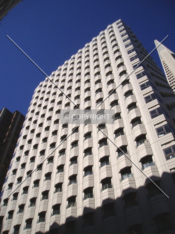 Looking up from the northeast, with the Transamerica Pyramid in the background