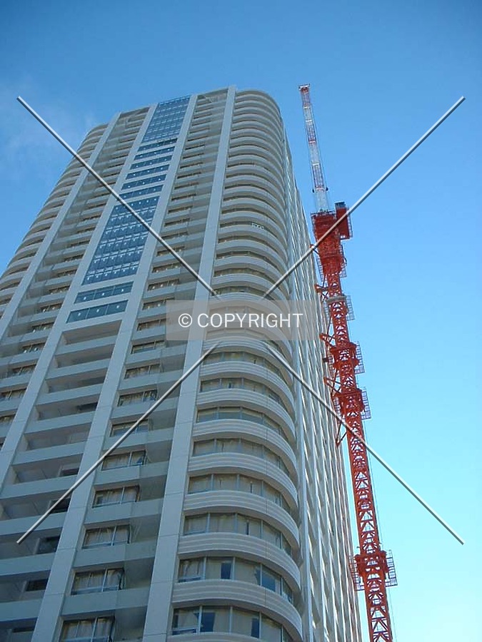 Cranes and crowns
