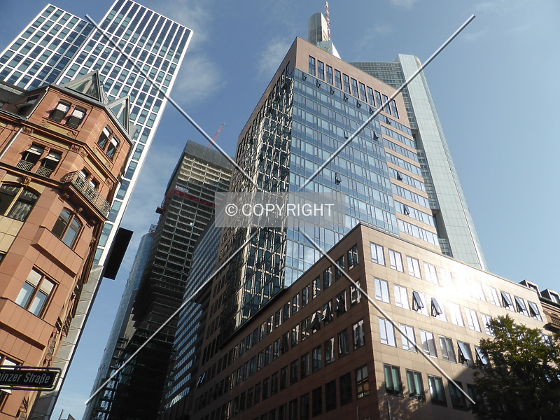 Photo 114-275-426