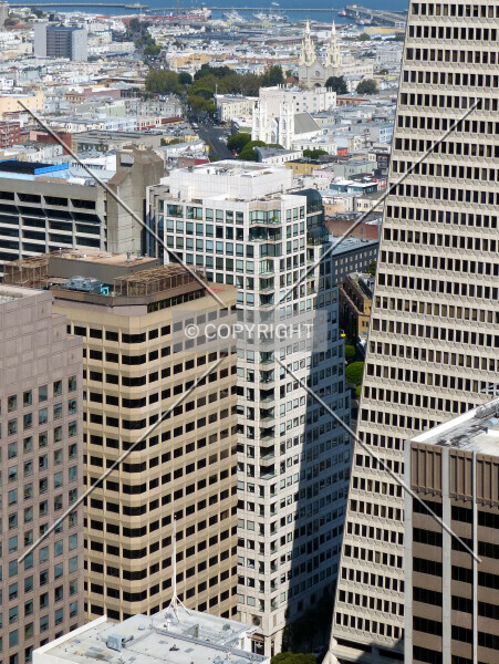 Photo 114-323-488