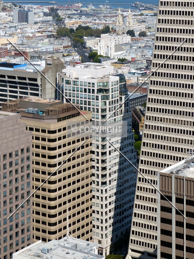 Photo 114-323-488