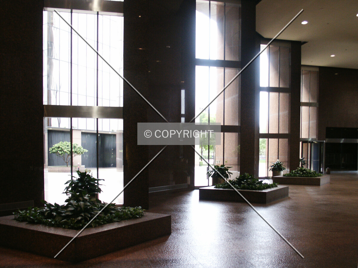 Lobby windows