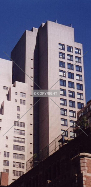 Photo 115-378-399