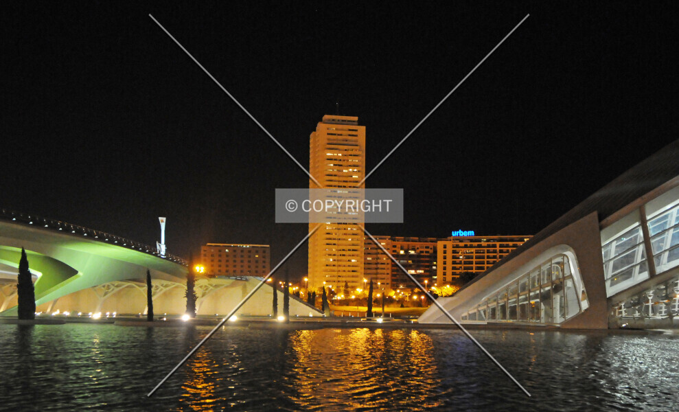 Photo 116-044-787