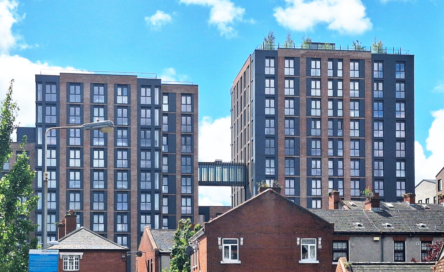 The tallest parts and the skybridge