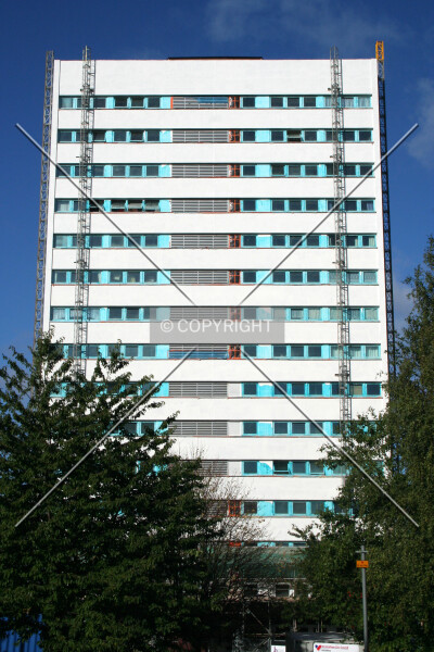 Photo 117-217-650