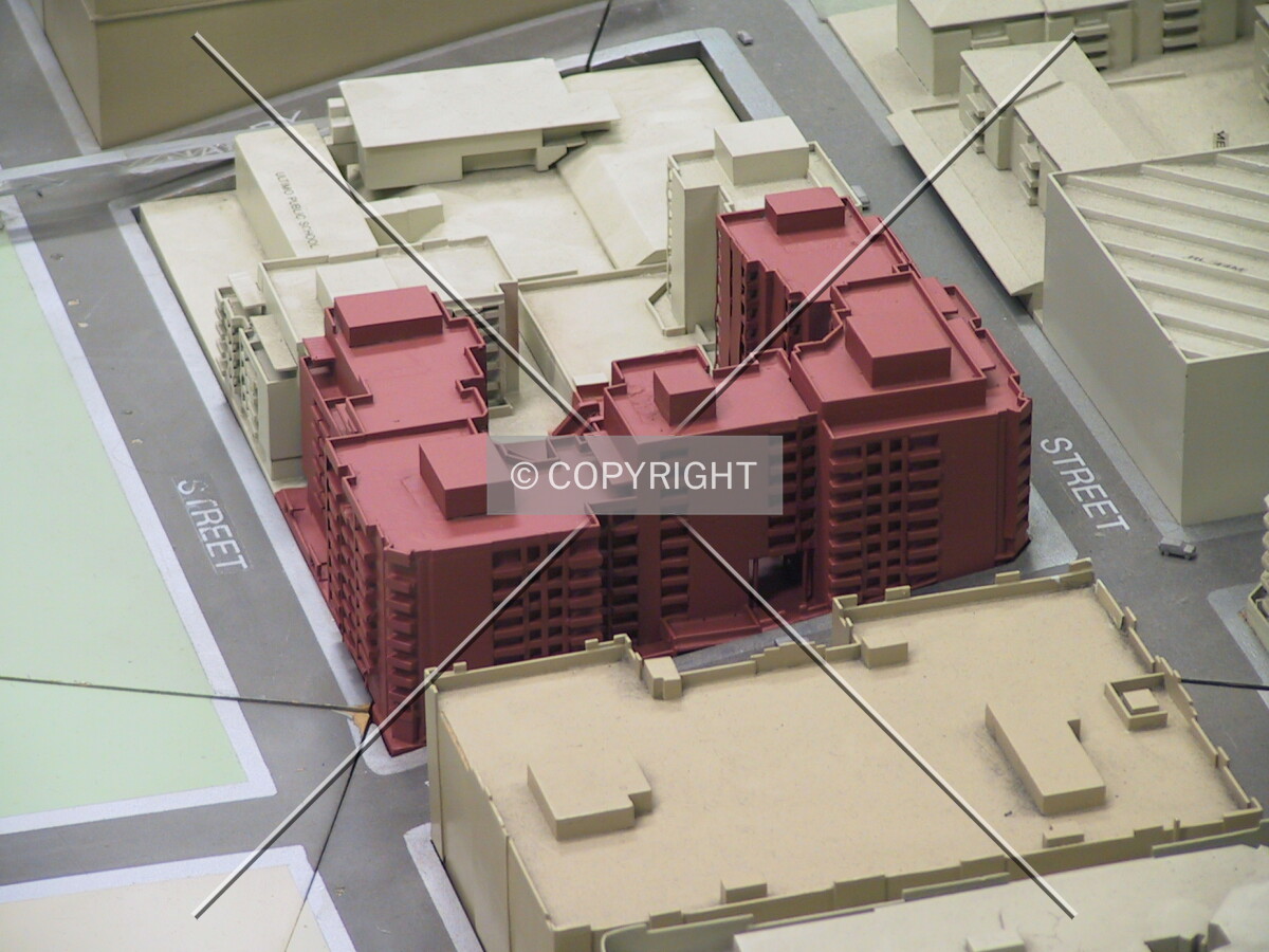 Model of the development