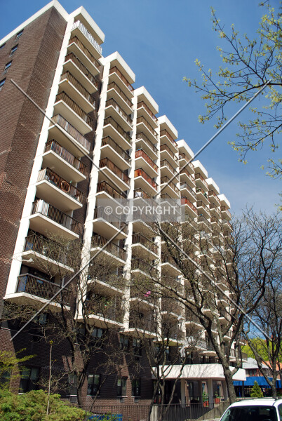 Photo 117-782-087