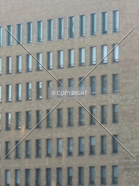 Photo 118-011-564