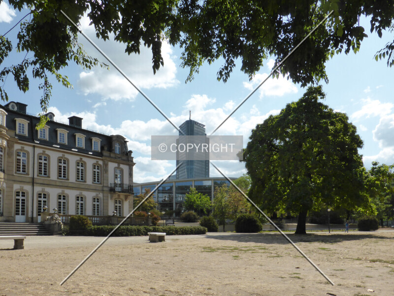 Photo 118-745-197