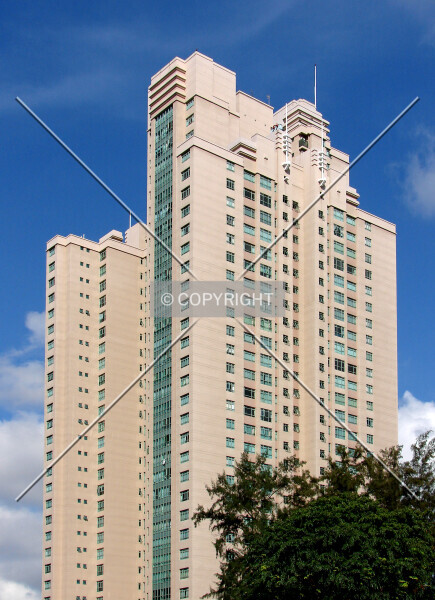 Photo 120-220-568
