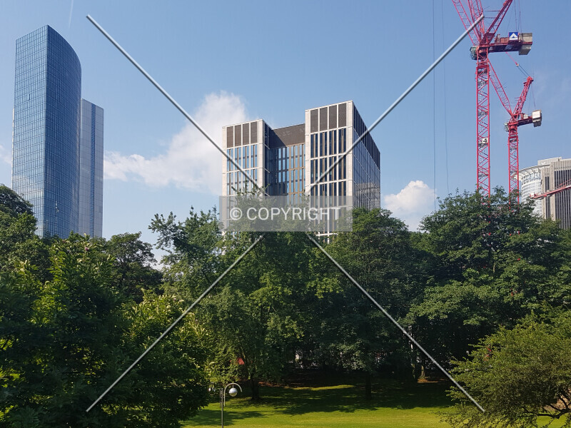 Photo 120-616-751