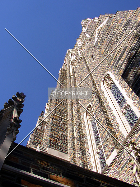 Photo 121-980-364