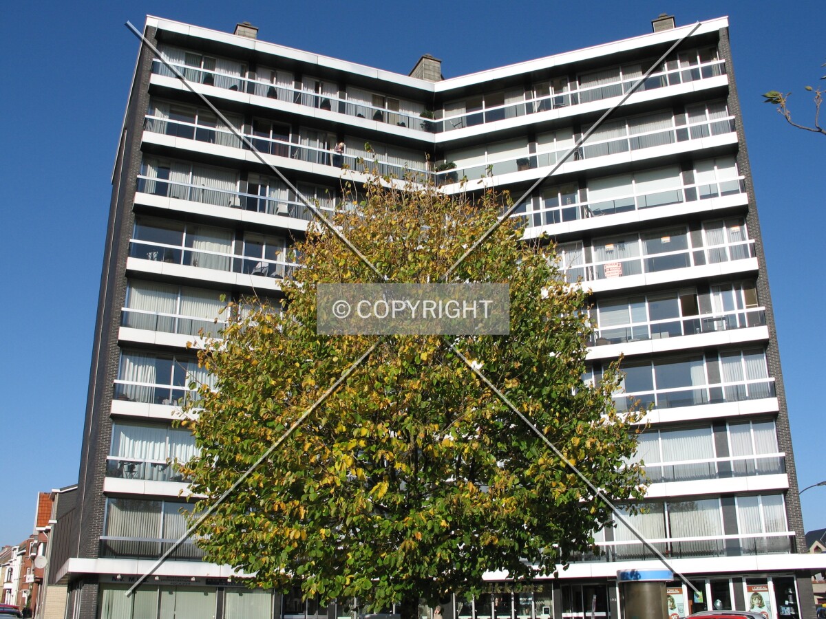 View from the southeast