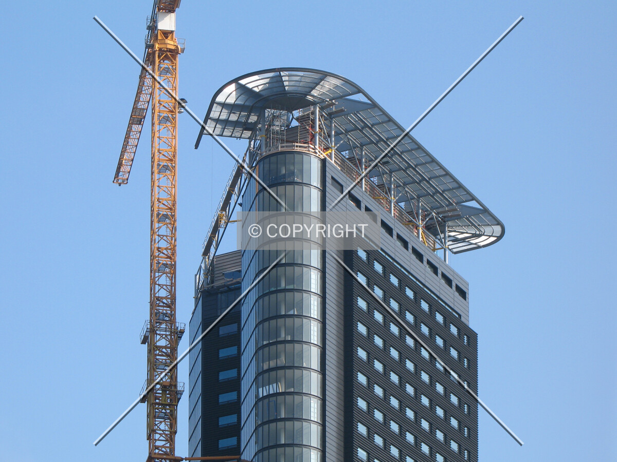 View of the top