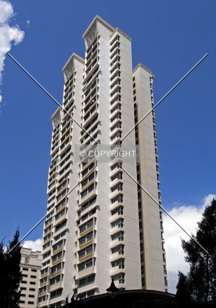 Photo 124-331-748