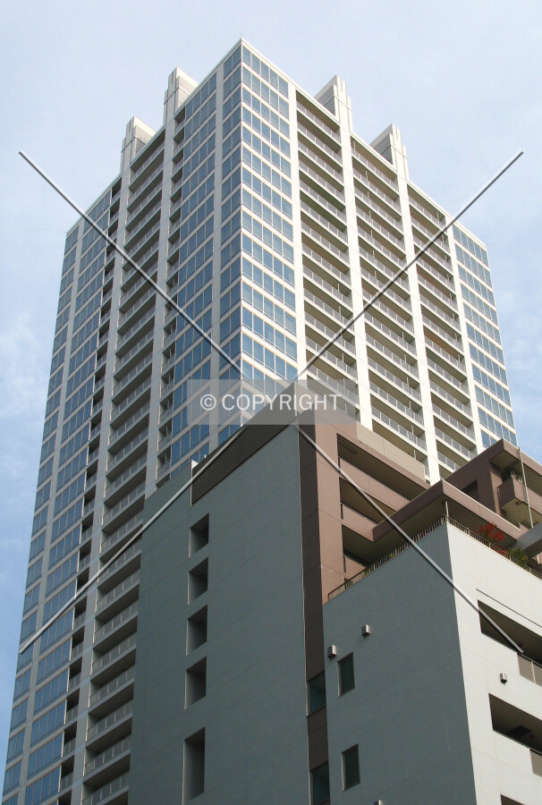 Looking up from the southeast