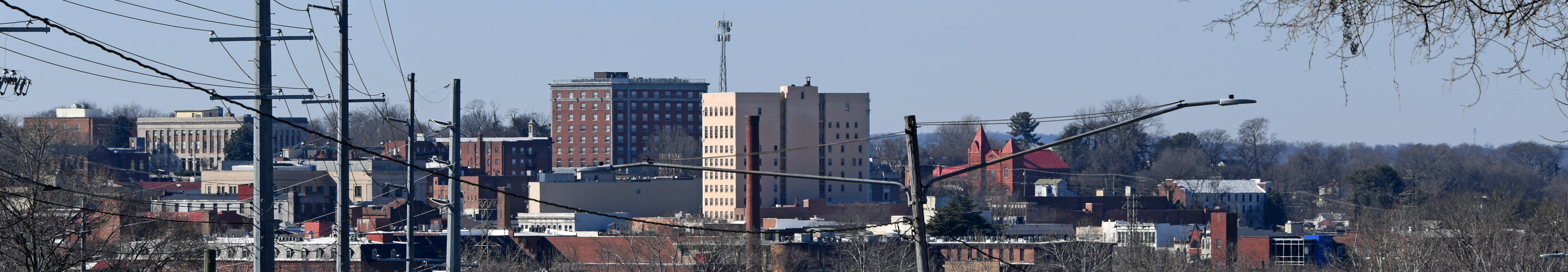 Panorama of Danville