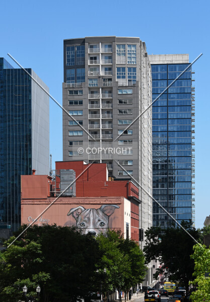 Photo 125-616-039