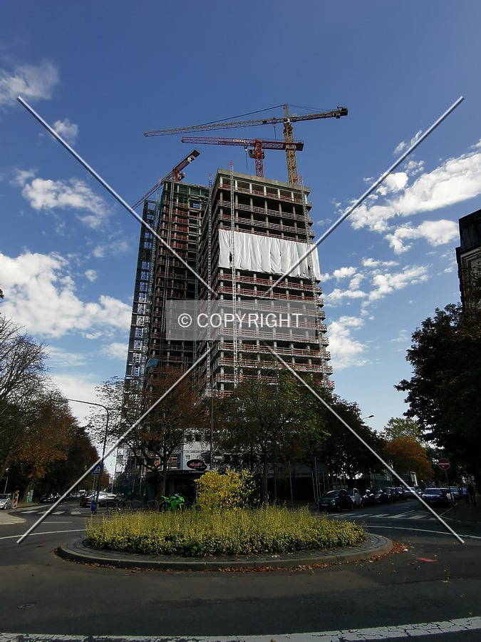 Photo 125-627-564
