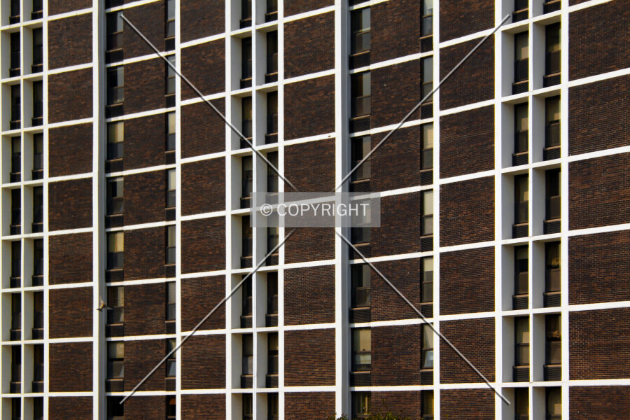 Photo 125-910-124