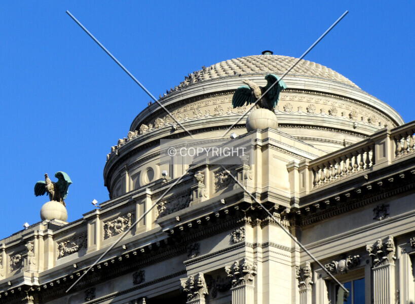 Photo 126-206-720