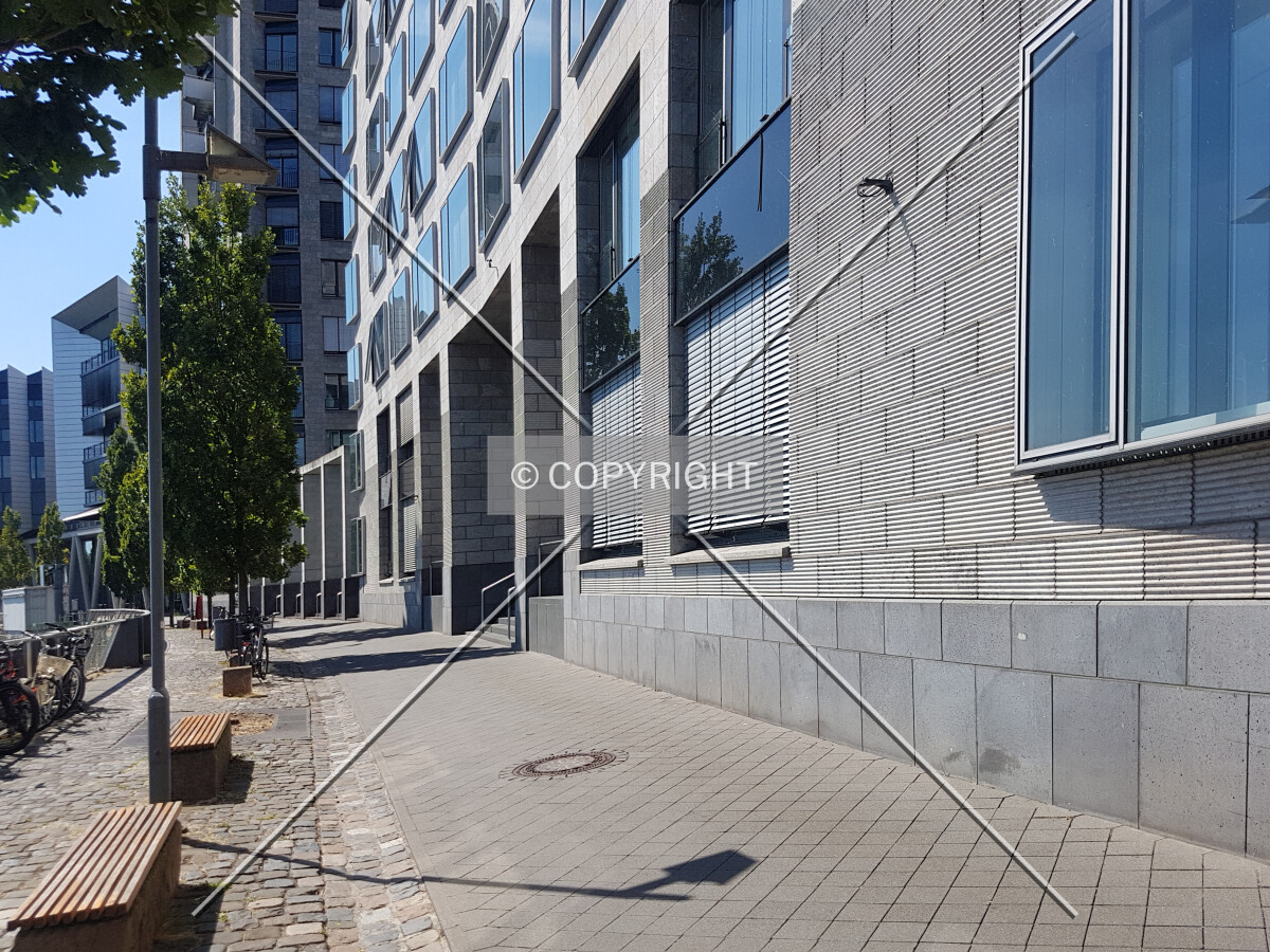 Photo 126-693-010