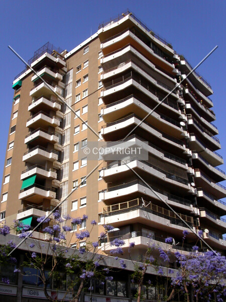 Photo 127-397-730